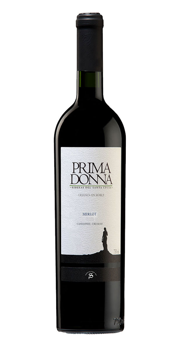Premium Weinpaket Uruguay